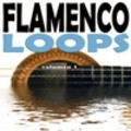 Thumbnail FLAMENCOLOOPS DE TANGOS 164
